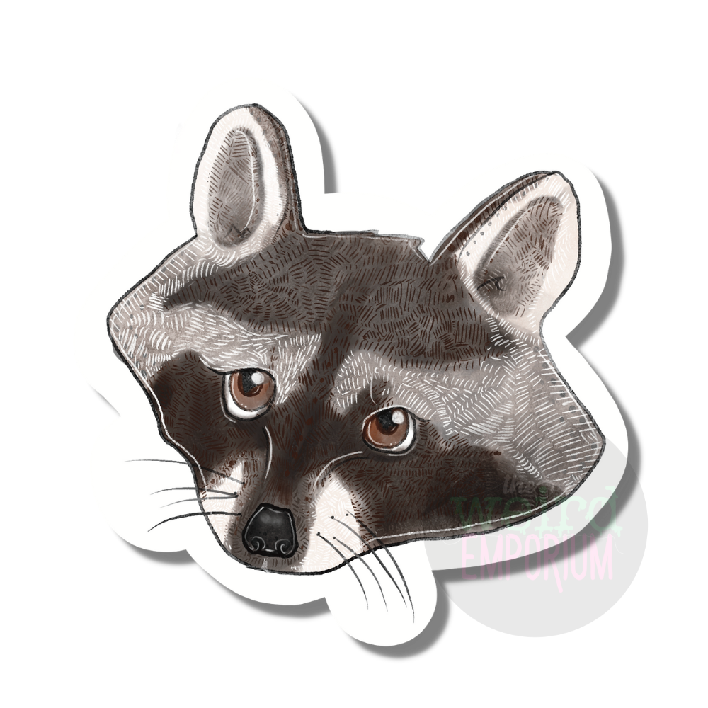 Racoon Sticker