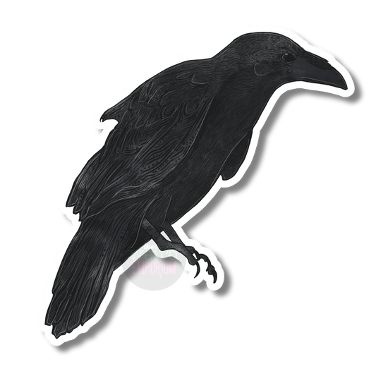 Raven Sticker