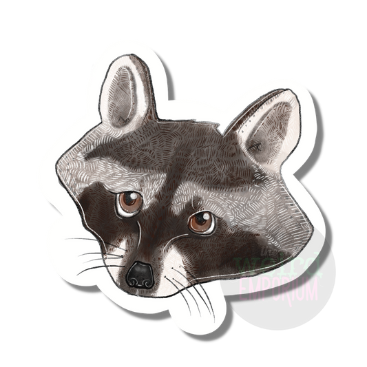 Racoon Sticker