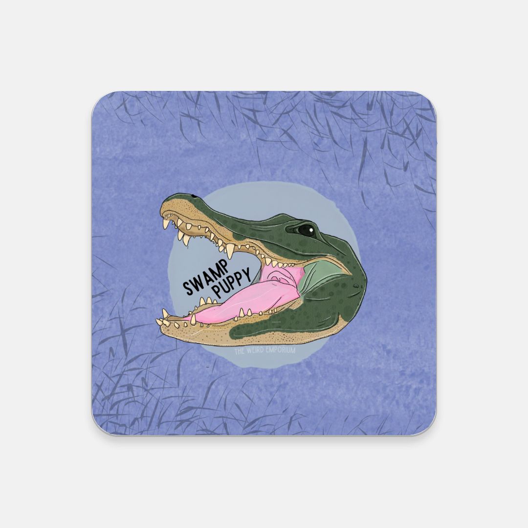 Swamp Kitty Coaster