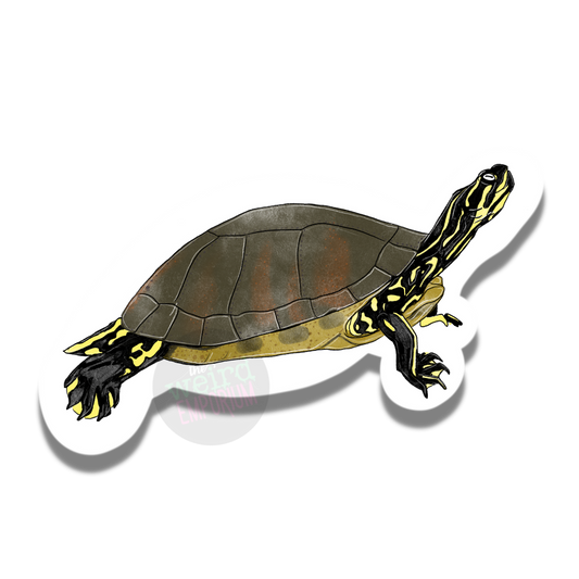 Turtle Sticker