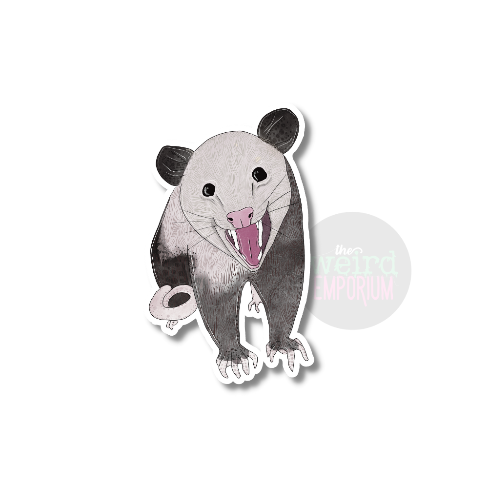 Opossum Sticker