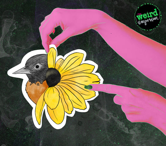 Black Eyed Susan Oriole Sticker